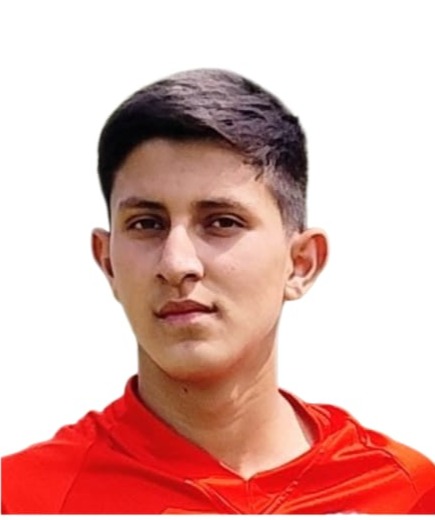 Daniel Aurelio Langarica