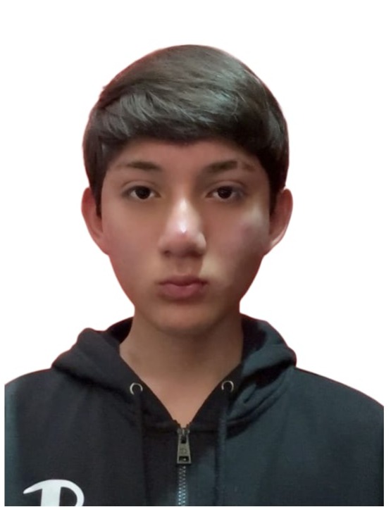 Alexander Altamirano Luna